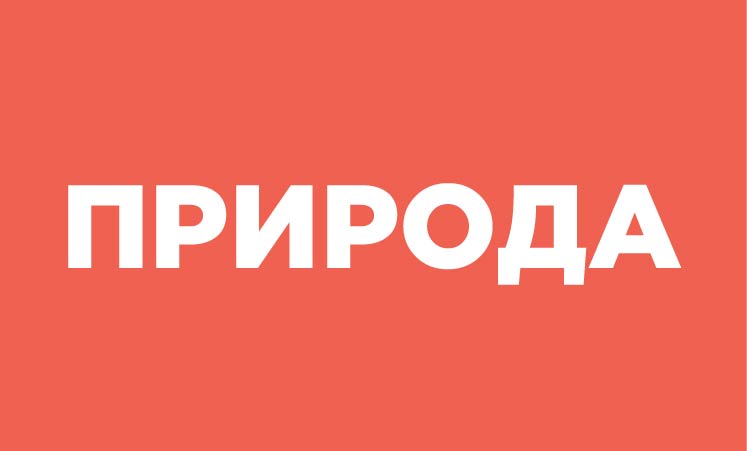 Природа - наш дом