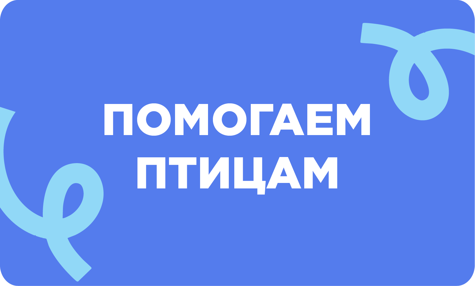 Птицы